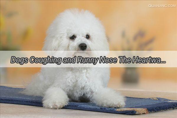 Dogs Coughing and Runny Nose The Heartwarming Journey to Healing